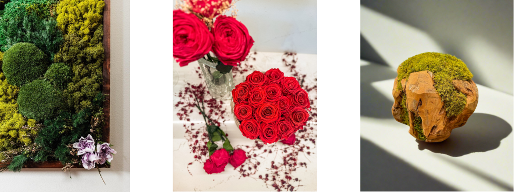 The Trendy Gardener - Moss Art and Eternal Roses